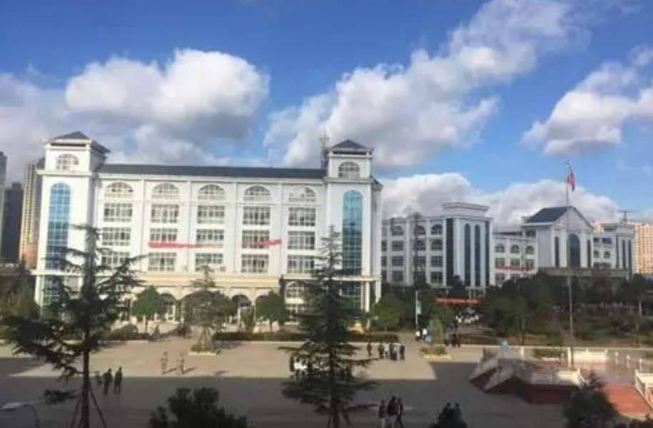 쌎D·gIWУ2022