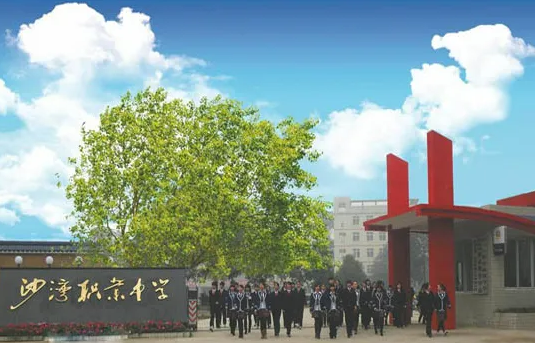 ɽɳI(y)߼ЌW(xu)2022